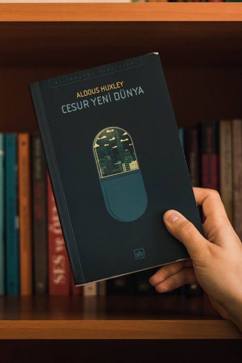 Book publishing and distribution